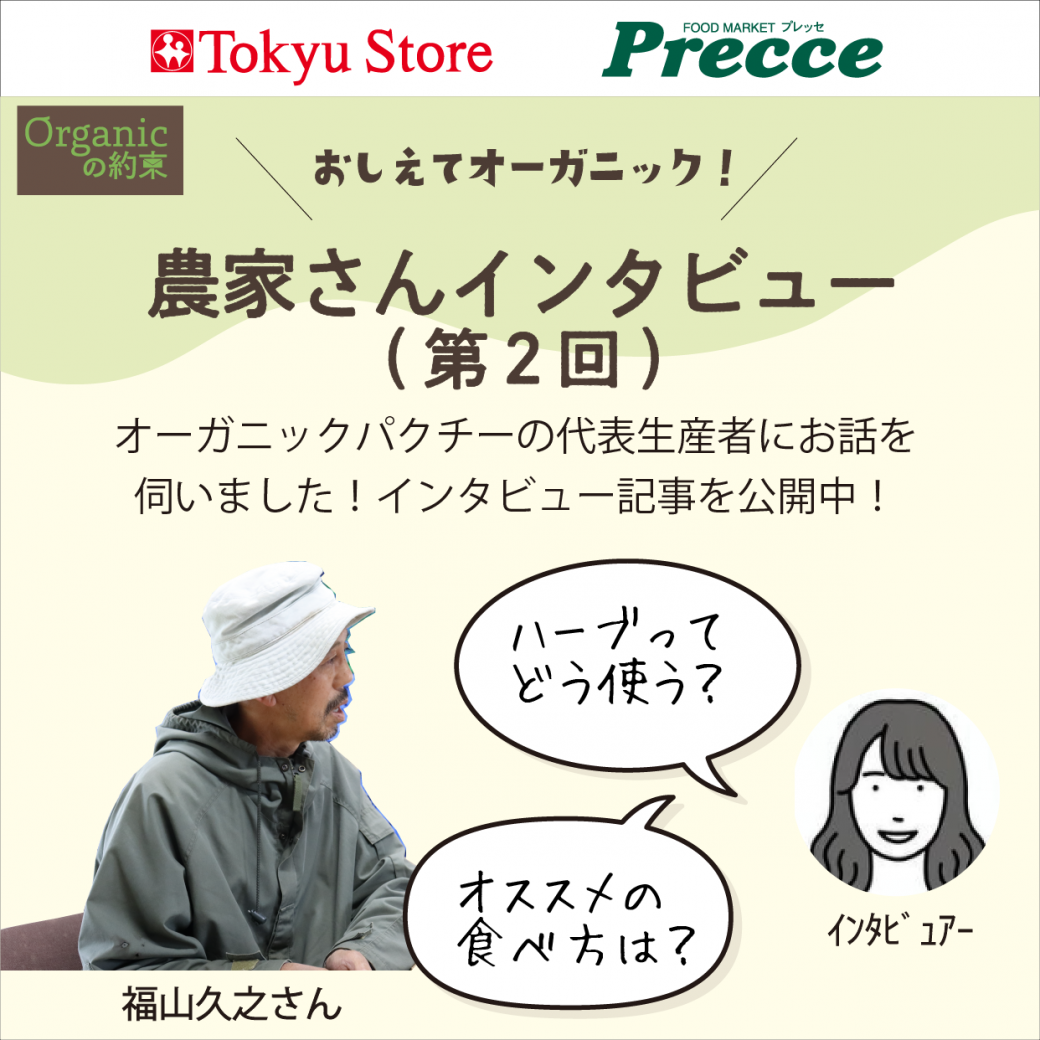 パクチー代表生産者：福山久之さんにインタビュー　Vol.2