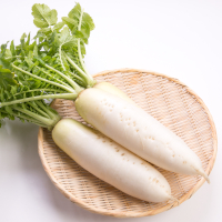 オーガニックだいこん