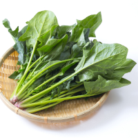 オーガニックほうれん草