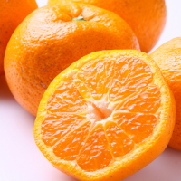 オーガニック甘夏