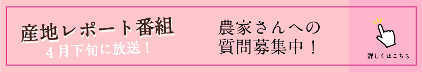 産地バナー