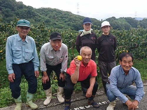 かつらぎ町有機栽培実践グループの写真