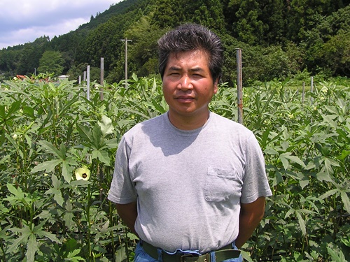 大地と自然の恵みの写真