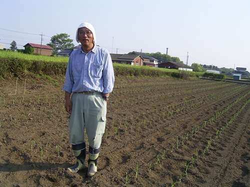 島田晴夫の写真