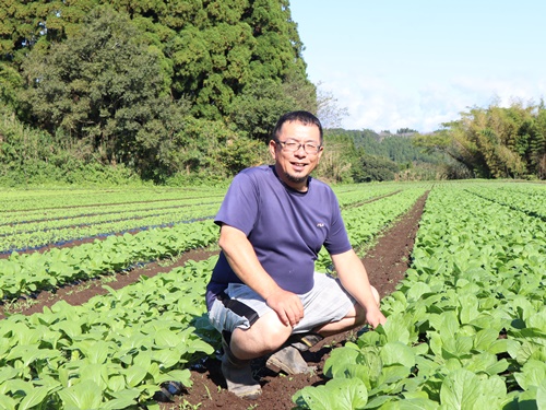 いんげんの生産者