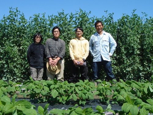 ちんげん菜の生産者