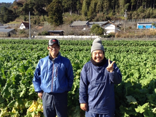 その他野菜の生産者