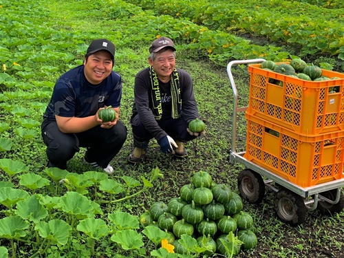 かぼちゃの生産者