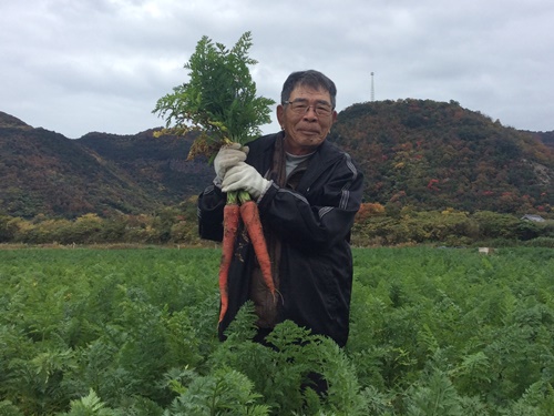 にんじんの生産者
