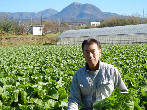 白たまねぎの生産者