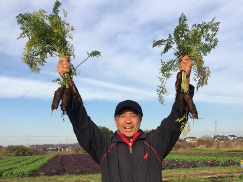 カット野菜の生産者