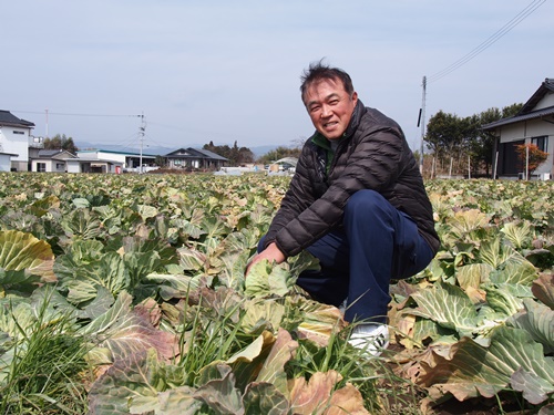 ぎんなんの生産者