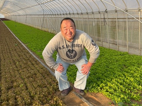 その他野菜の生産者