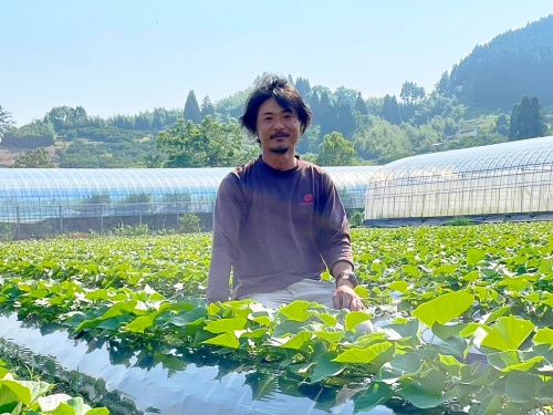 とうもろこしの生産者