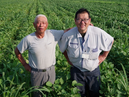 茶まめの生産者